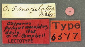 Media type: image;   Entomology 6517 Aspect: labels